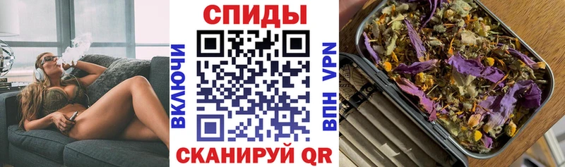 сколько стоит  Сельцо  OMG tor  Бутират BDO 33% 