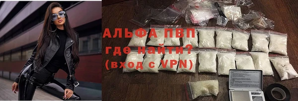 стафф Алексин