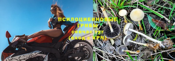 стафф Алексин