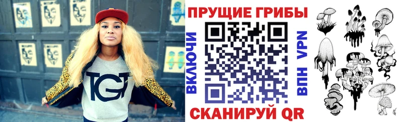 дарнет шоп  mega зеркало  Галлюциногенные грибы ЛСД  Сельцо 