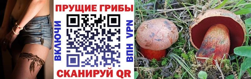 Псилоцибиновые грибы Magic Shrooms Сельцо